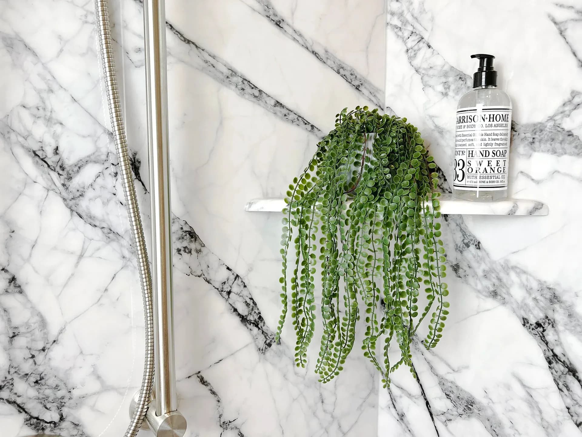 Shower walls and plant